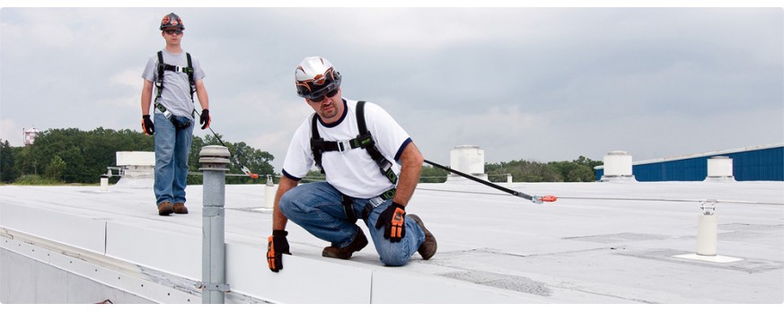 cong_ty_cua_hang_bao_ho_lao_dong