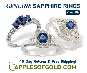 Falling Asleep Among The Blueberries – A Poem