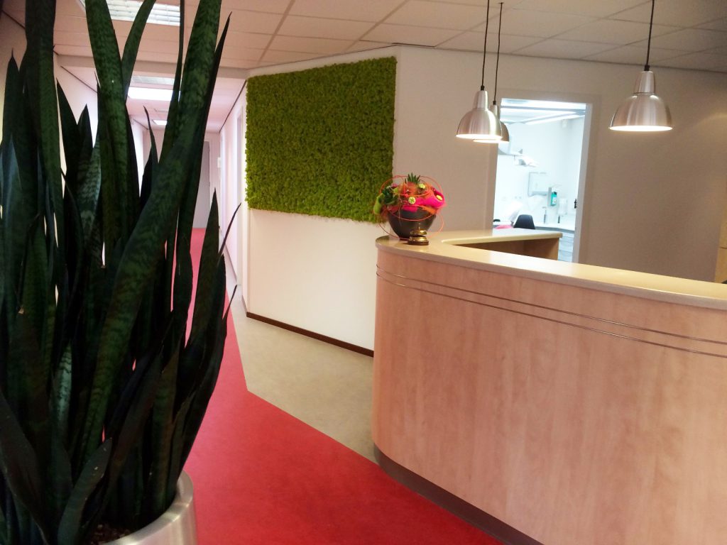 Mondzorg Stramproy | Tandartspraktijk Donk-Schouten